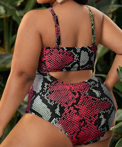 ATHENA Ring-Linked Snakeskin or Solid Cutout Women's Plus Size One-Piece Swimwear