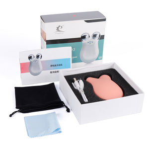 APRIL Mini Microcurrent Face Lift Machine II Wrinkle Remover II Skin Tightening Device with USB Charging - Bali Lumbung