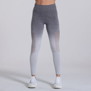 ALTHEA Tight Mesh or Ombre Fitness Yoga Sports Leggings For Women Sports