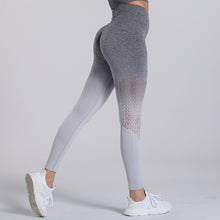 Cargar imagen en el visor de la galería, ALTHEA Tight Mesh or Ombre Fitness Yoga Sports Leggings For Women Sports