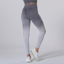 Laden Sie das Bild in den Galerie-Viewer, ALTHEA Tight Mesh or Ombre Fitness Yoga Sports Leggings For Women Sports