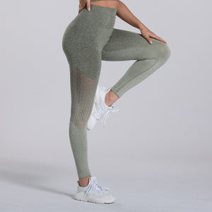 ALTHEA Tight Mesh or Ombre Fitness Yoga Sports Leggings For Women Sports