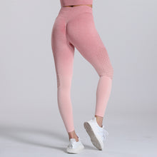 Laden Sie das Bild in den Galerie-Viewer, ALTHEA Tight Mesh or Ombre Fitness Yoga Sports Leggings For Women Sports