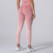 Load image into Gallery viewer, ALTHEA Tight Mesh or Ombre Fitness Yoga Sports Leggings For Women Sports